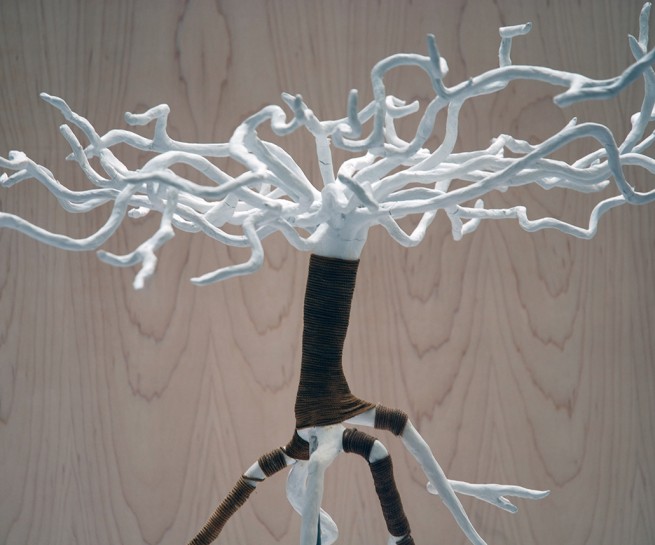 colección de Arboles realiada en Océano Naranja